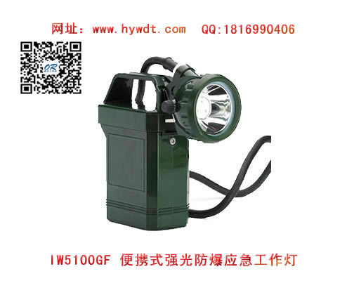 乐清海洋王IW5100GF便携式强光防爆应急工作灯